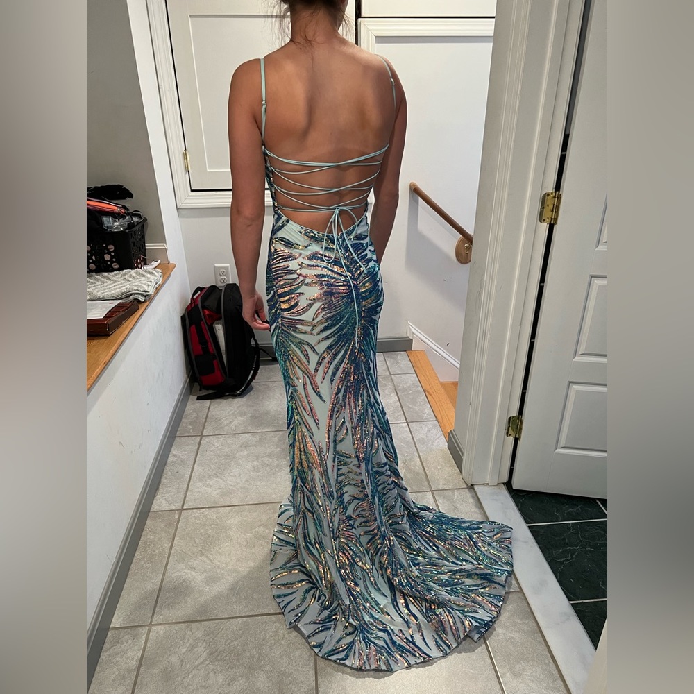 Prom dress size 2 never altered bought for $700 selling for $500 or best offer